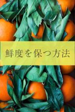 寒すぎる日本列島で生き抜くため、厳しい冬にこそ食べておきたい野菜